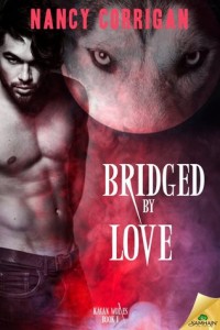 Bridged by Love Cover