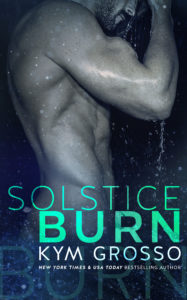 Solstice Burn-Cover-Large